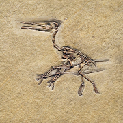 Empfang - Kick-off, Berlin im M&auml;rz 2011